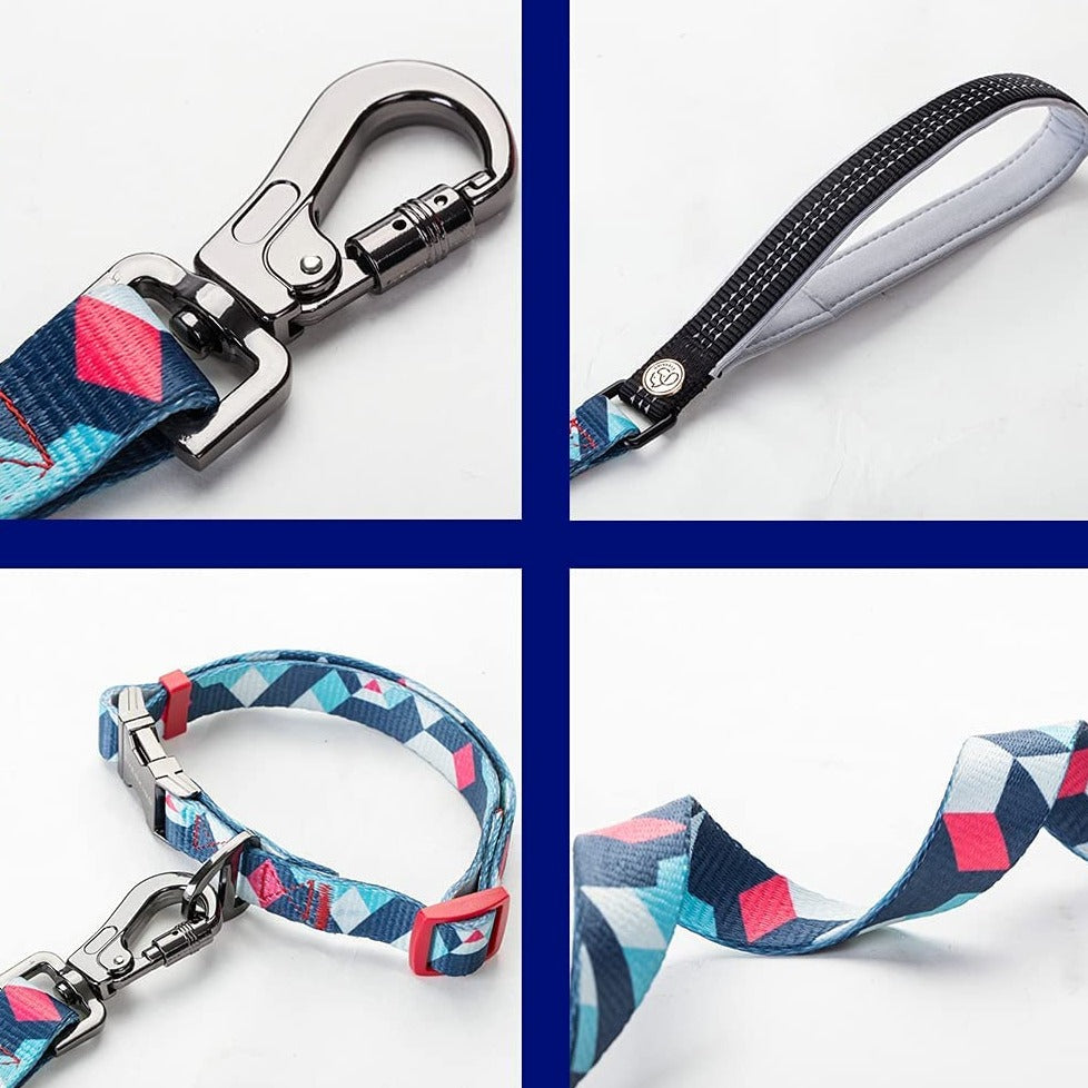 Everking Jazz Lead & Collar