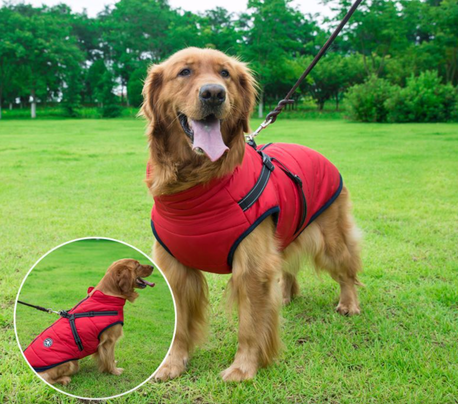 Waterproof 3 in 1 Dog Jacket