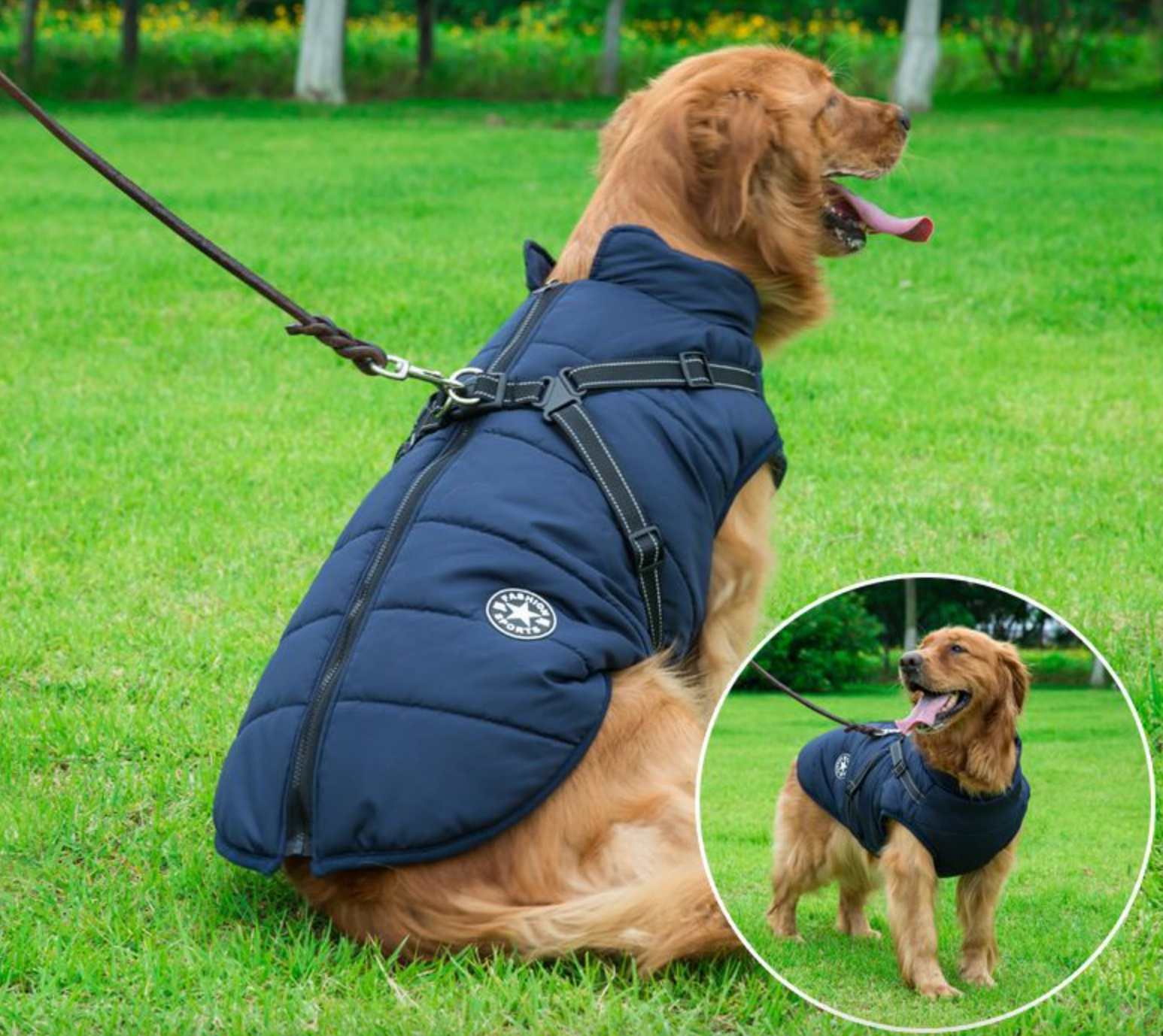 Waterproof 3 in 1 Dog Jacket