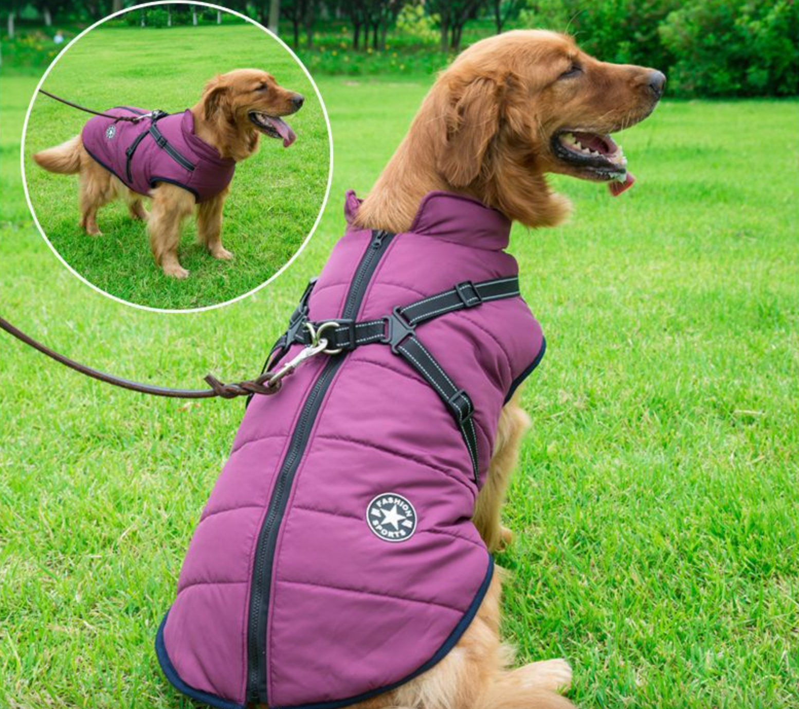 Waterproof 3 in 1 Dog Jacket