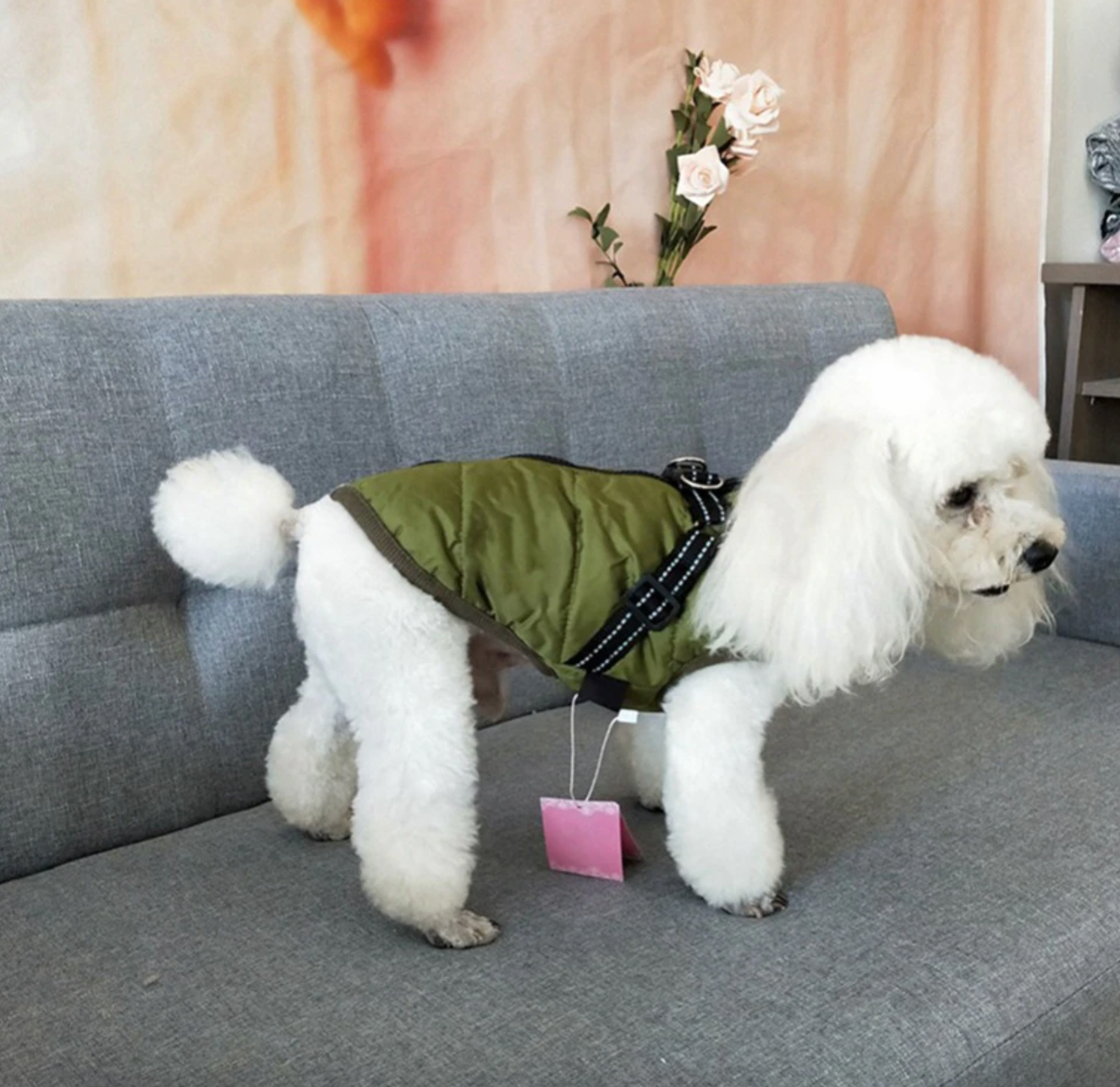 Waterproof 3 in 1 Dog Jacket