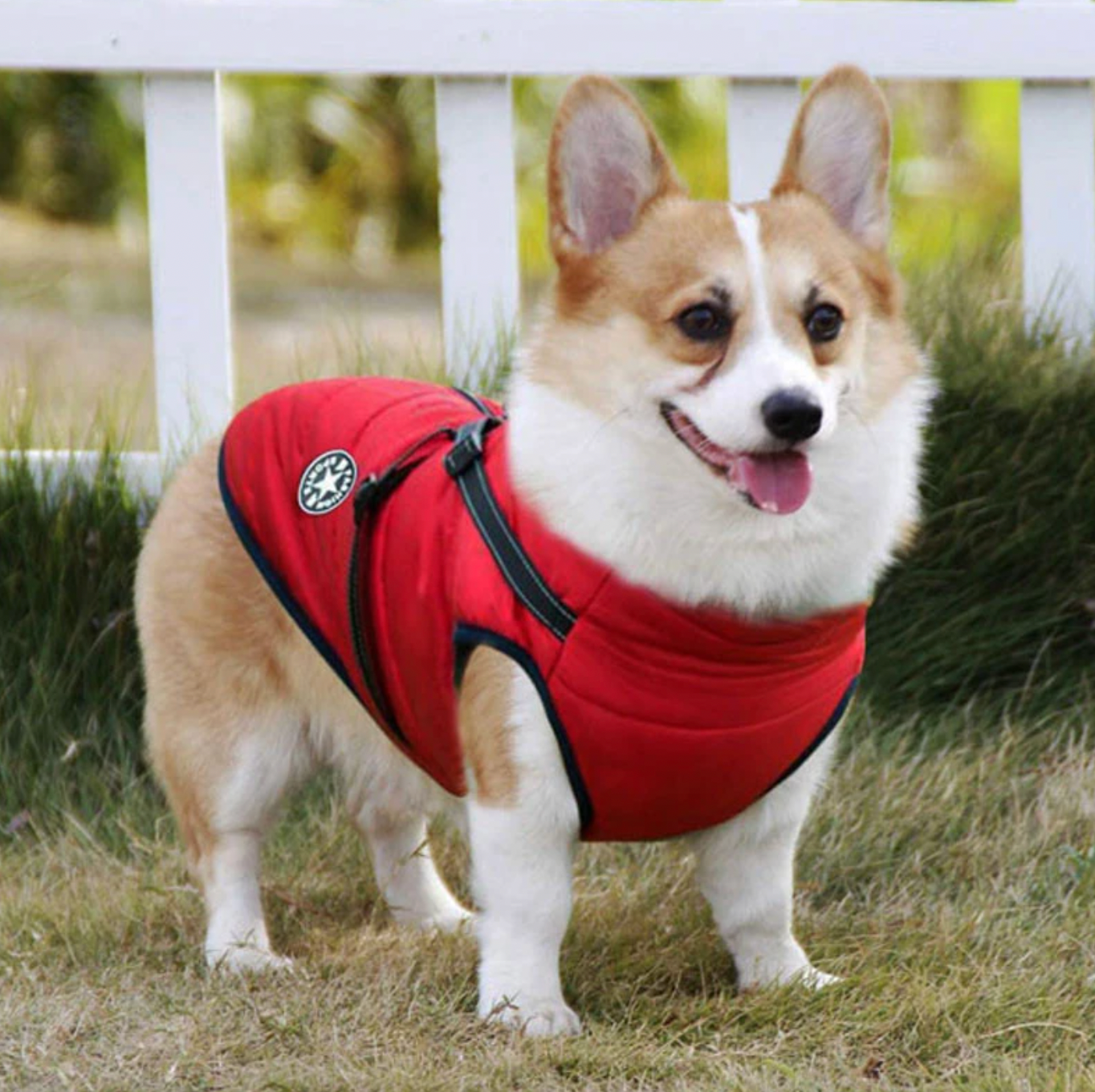 Waterproof 3 in 1 Dog Jacket