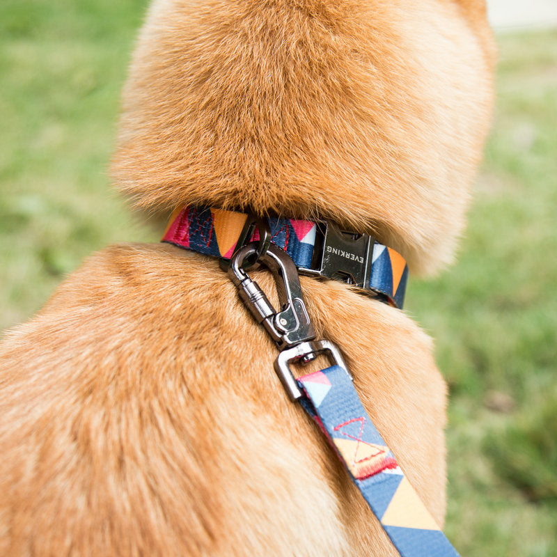 Everking Jazz Lead & Collar