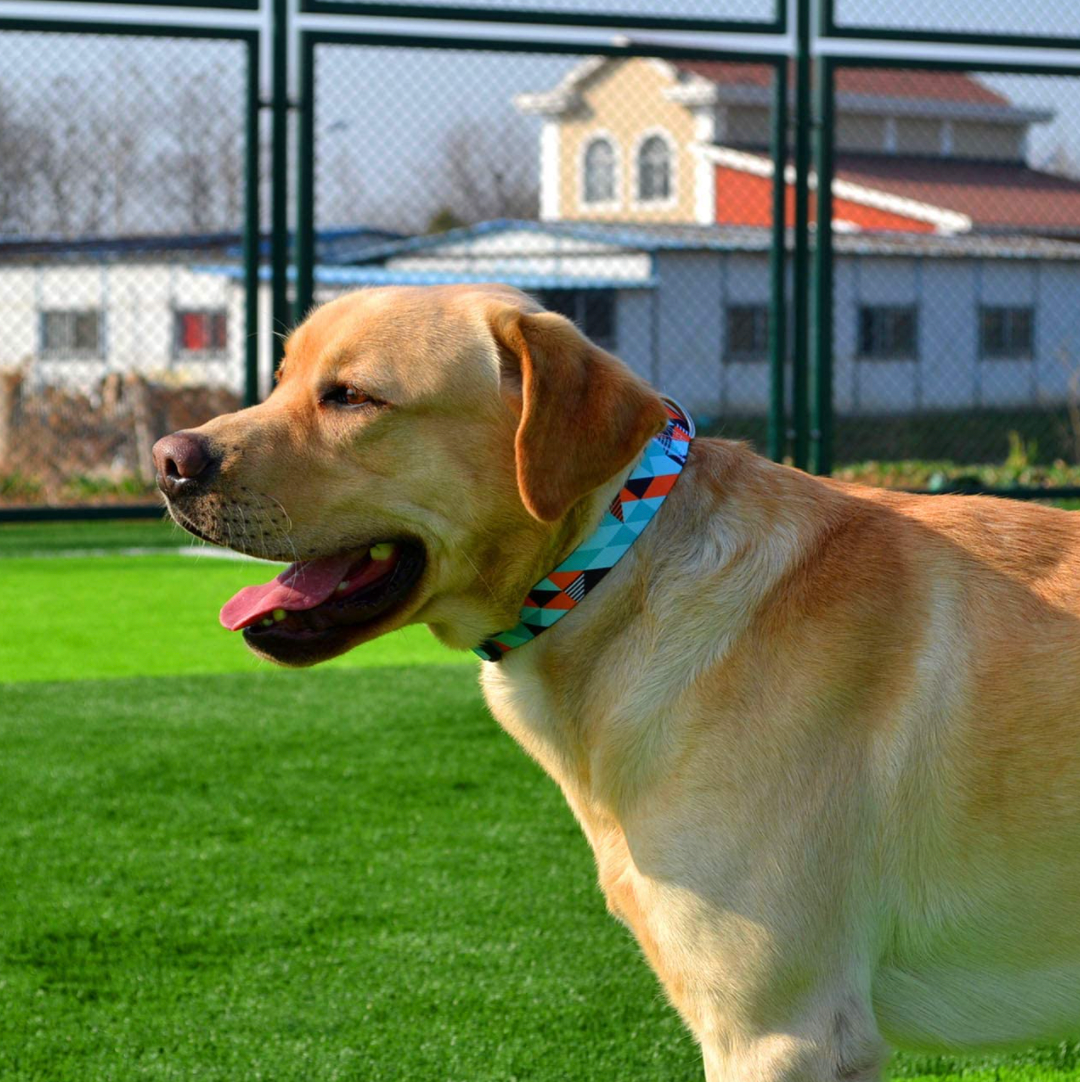 Bohemian Collar