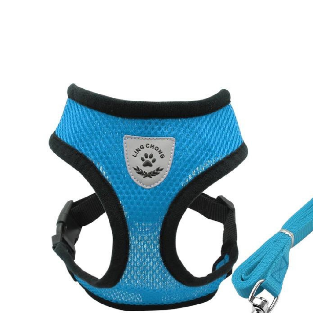 Mesh Pet Harness