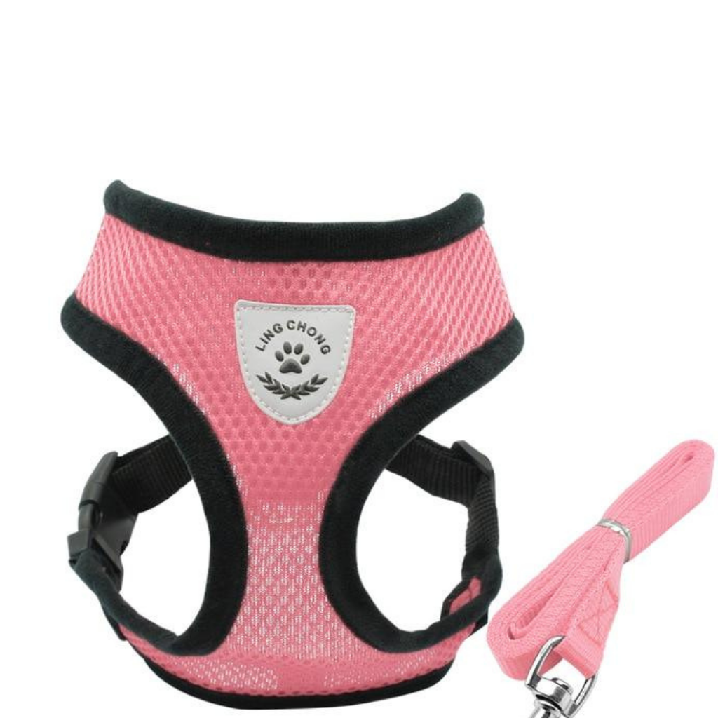 Mesh Pet Harness