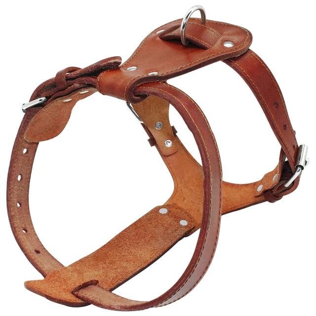 Leather Dog Harness