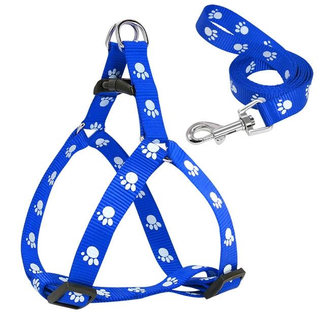 Paw Print Dog Harness and Leash Set