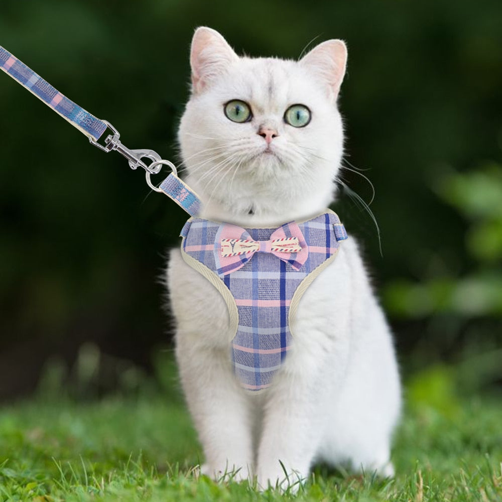 Soft Mesh Pet Harness