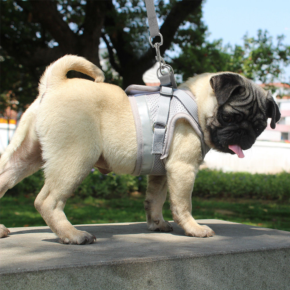 Reflective Pet Harness