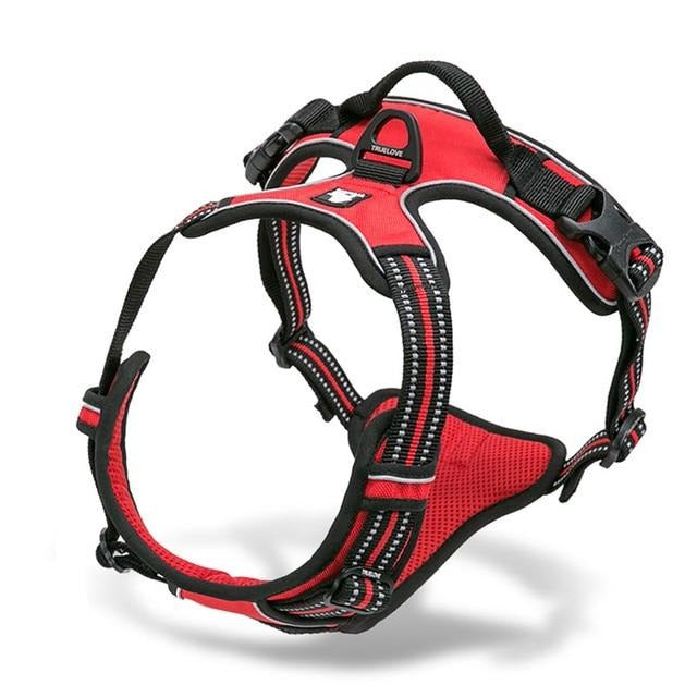 Heavy Duty Dog Harness