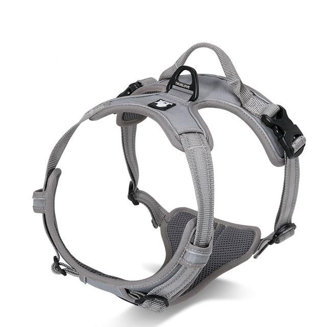 Heavy Duty Dog Harness