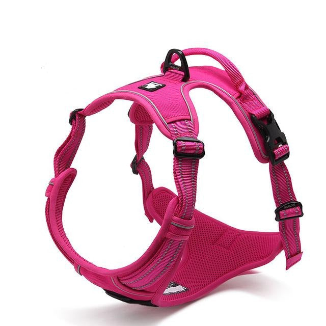 Heavy Duty Dog Harness