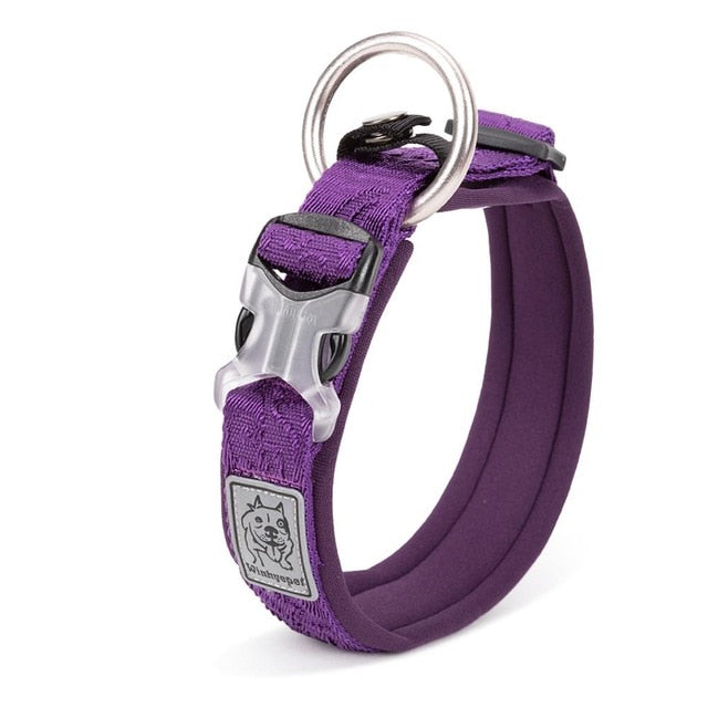 Adjustable Padded Dog Collar