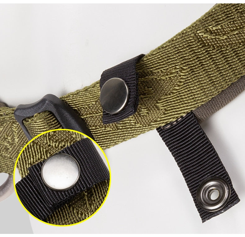 Adjustable Padded Dog Collar