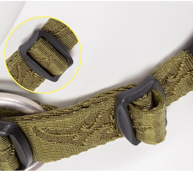 Adjustable Padded Dog Collar