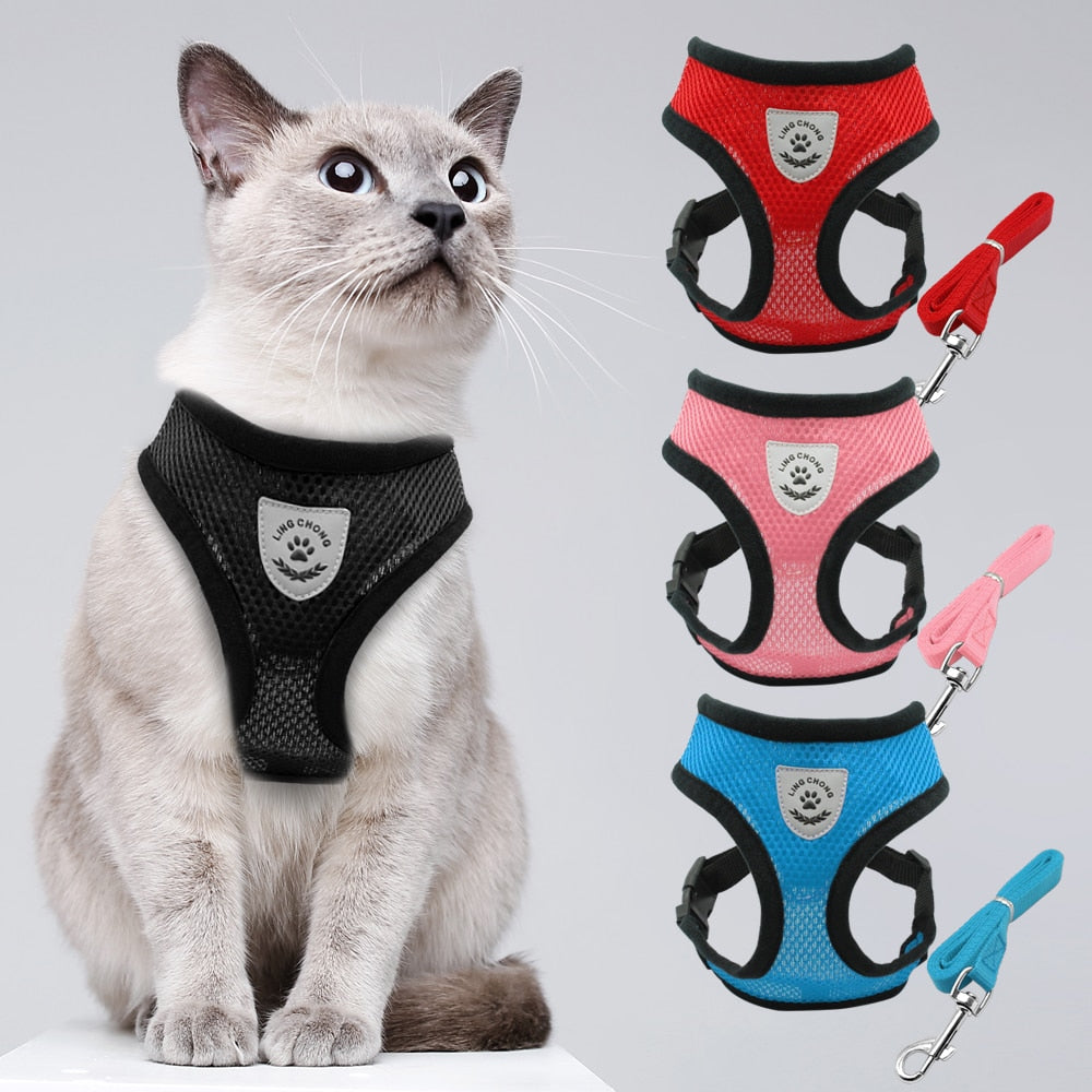 Mesh Pet Harness