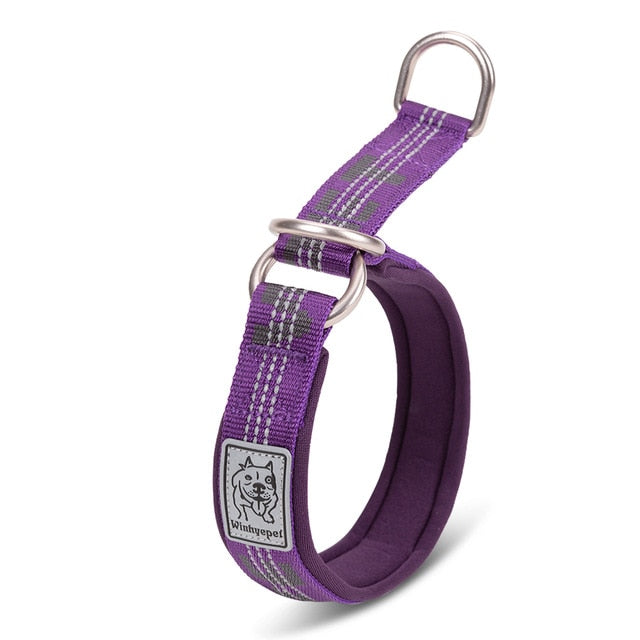 Reflective Dog Collar