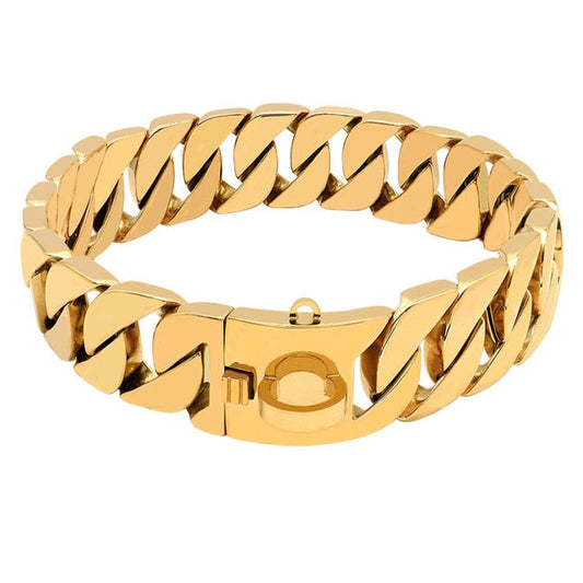 Gold Chain Dog Collar