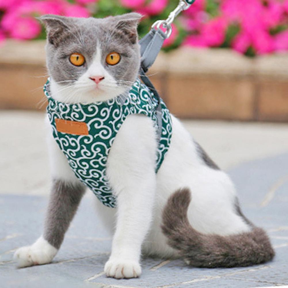 Polyester Pet Harness