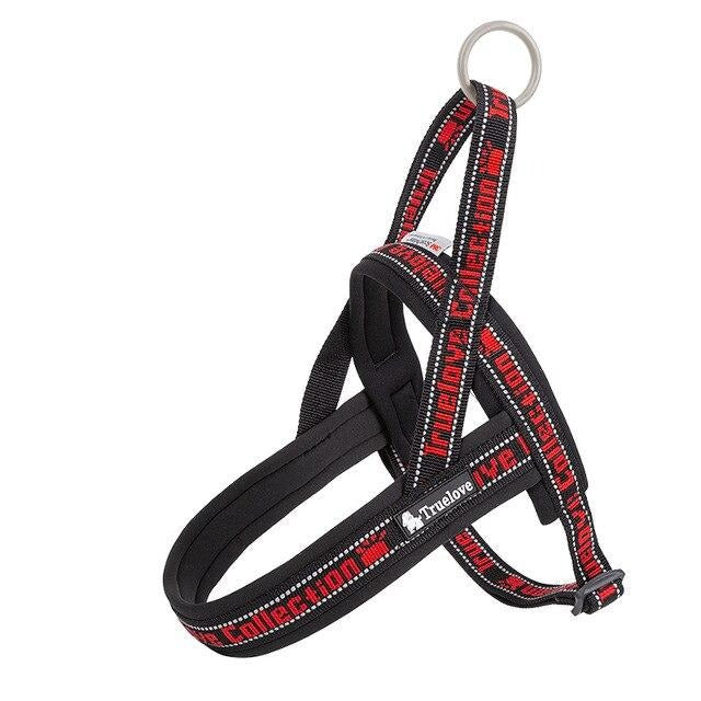 Neoprene Padded No Pull Dog Harness